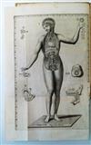 PETRIOLI, GAETANO. Dissertatio phisico-anatomica de membrana hymen.  1754